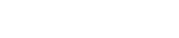webshopsuli logo