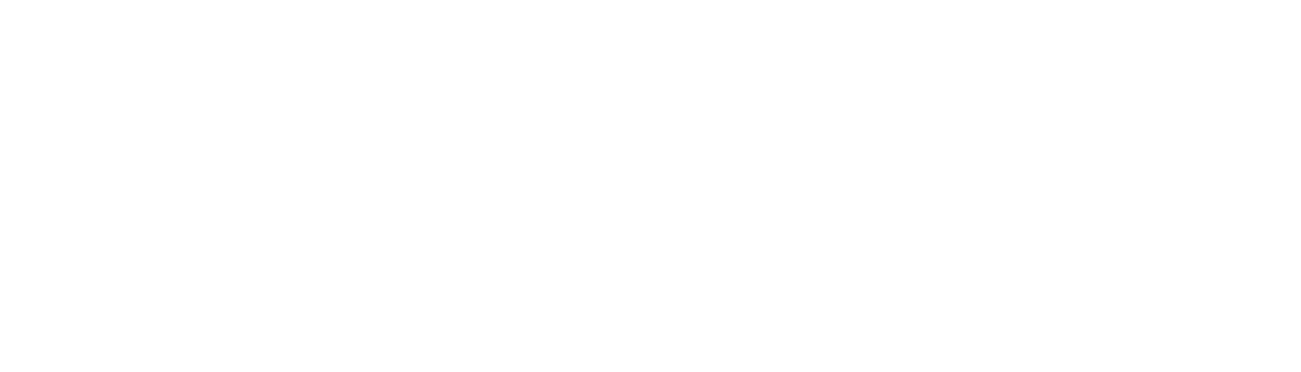 businessbash-logo_horizontal-white